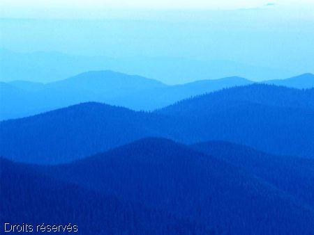 Collines